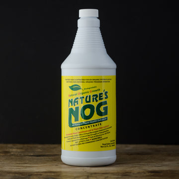 Nature's Nog Liquid 1 Quart