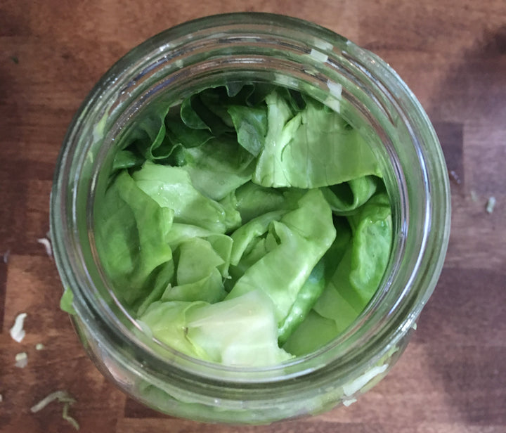 Green cabbage packed into a mason jar to make sauerkraut