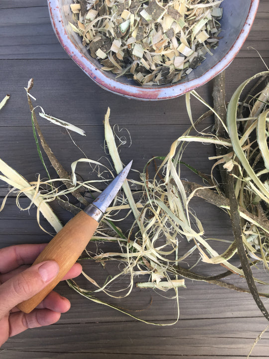 harvesting mimosa bark using a mora wood carving knife