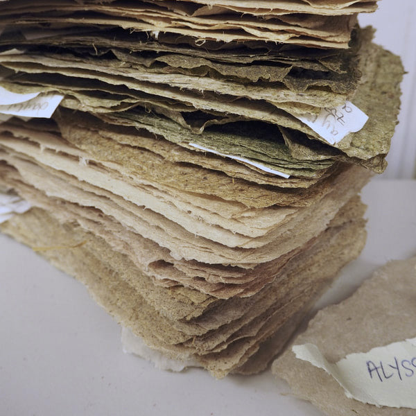 09.30.18 + 10.07.18 // Making Paper and Books with Plants of Appalachia with Alyssa Sacora // 5:30-8:30pm