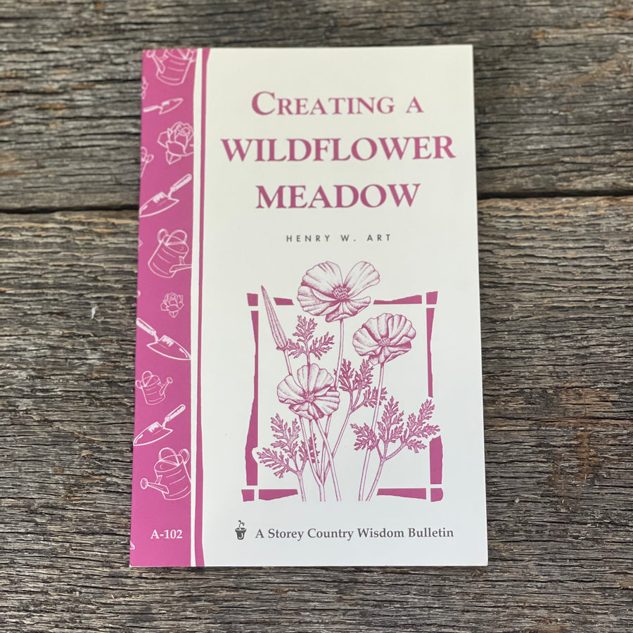 Creating a Wildflower Meadow