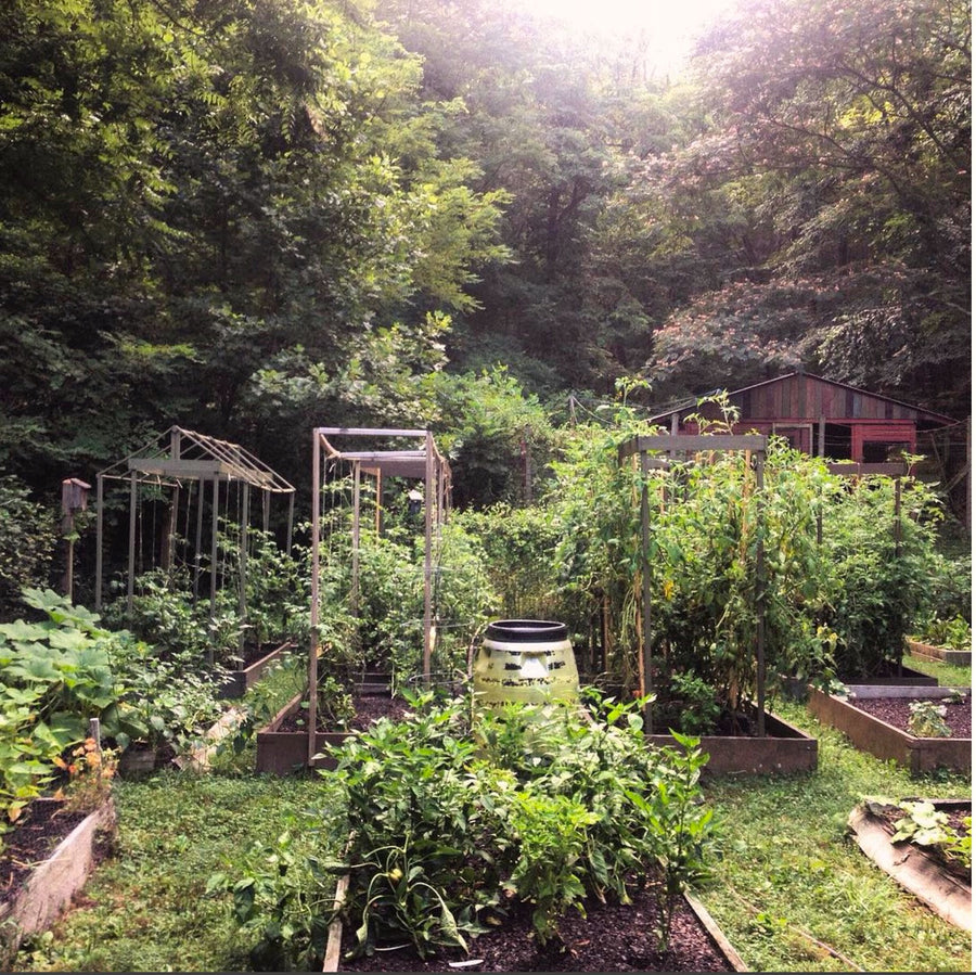 05.17.17 // Planning Your Garden for Year Round Abundance with Becky Beyer // 6:30-8:30pm, $5-20