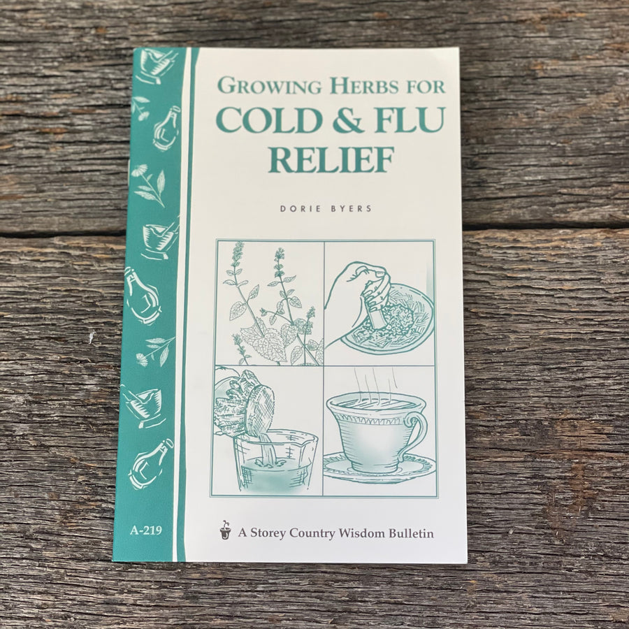 Growing Herbs For Cold and Flu
