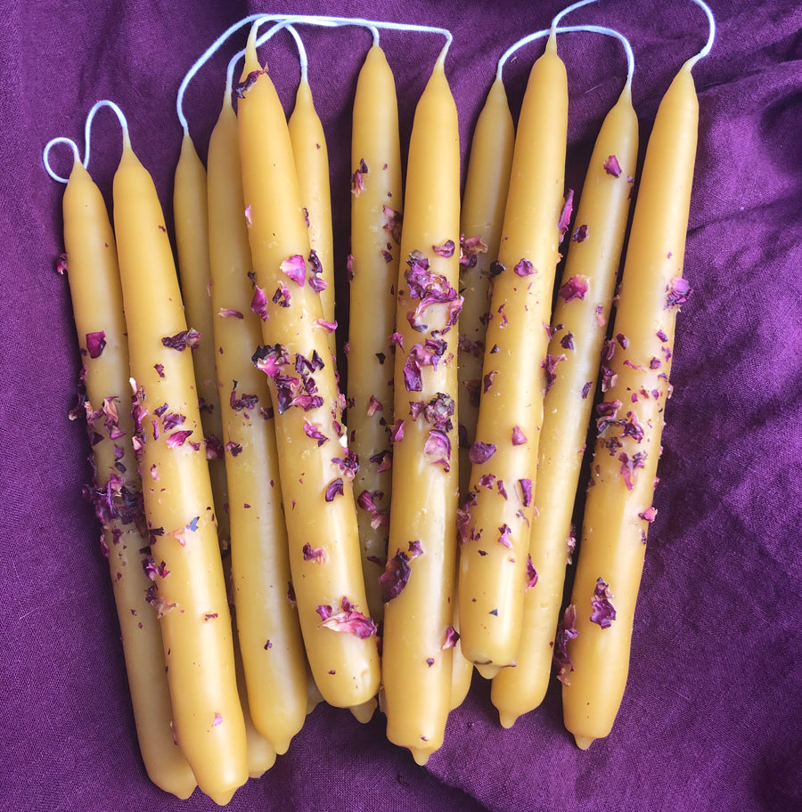 2.17.23 // Beeswax Candlemaking w/ Amelia Stamsta // 5:30-8p