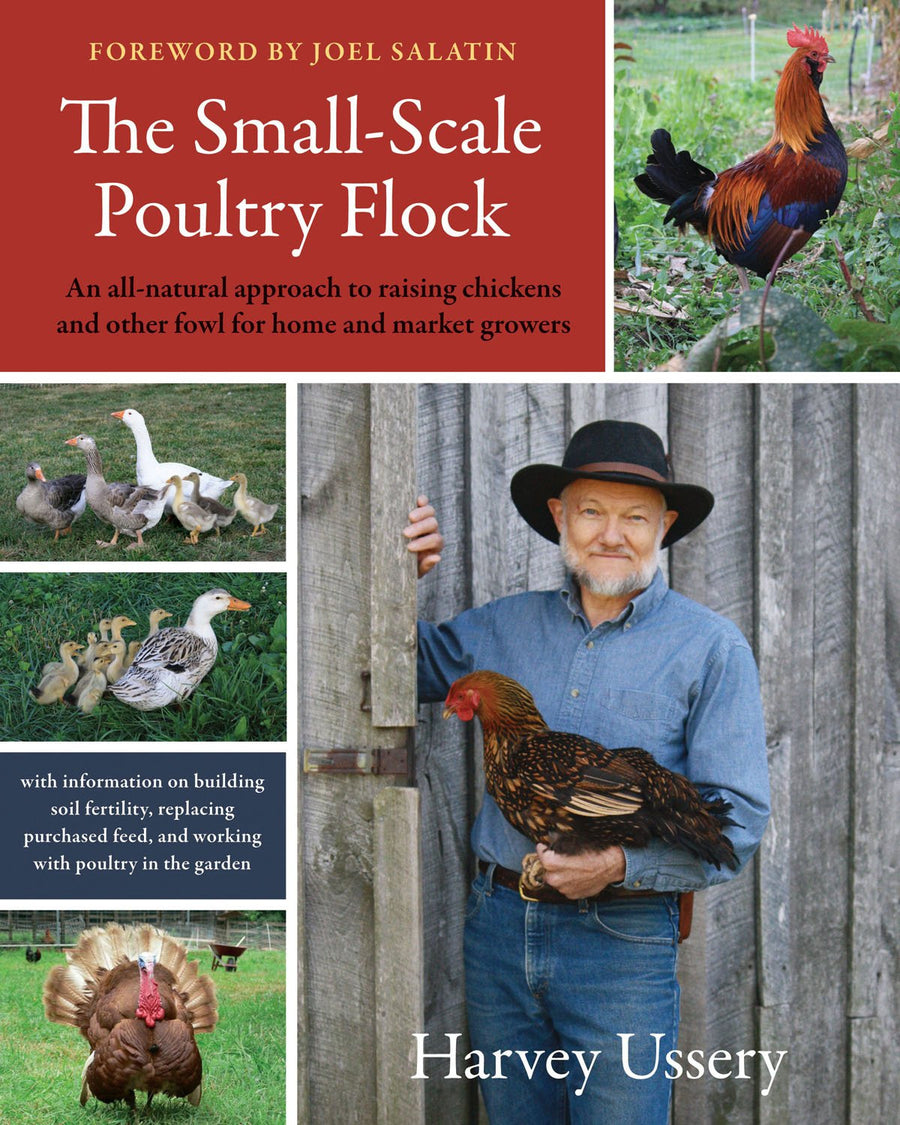 Small Scale Poultry Flock