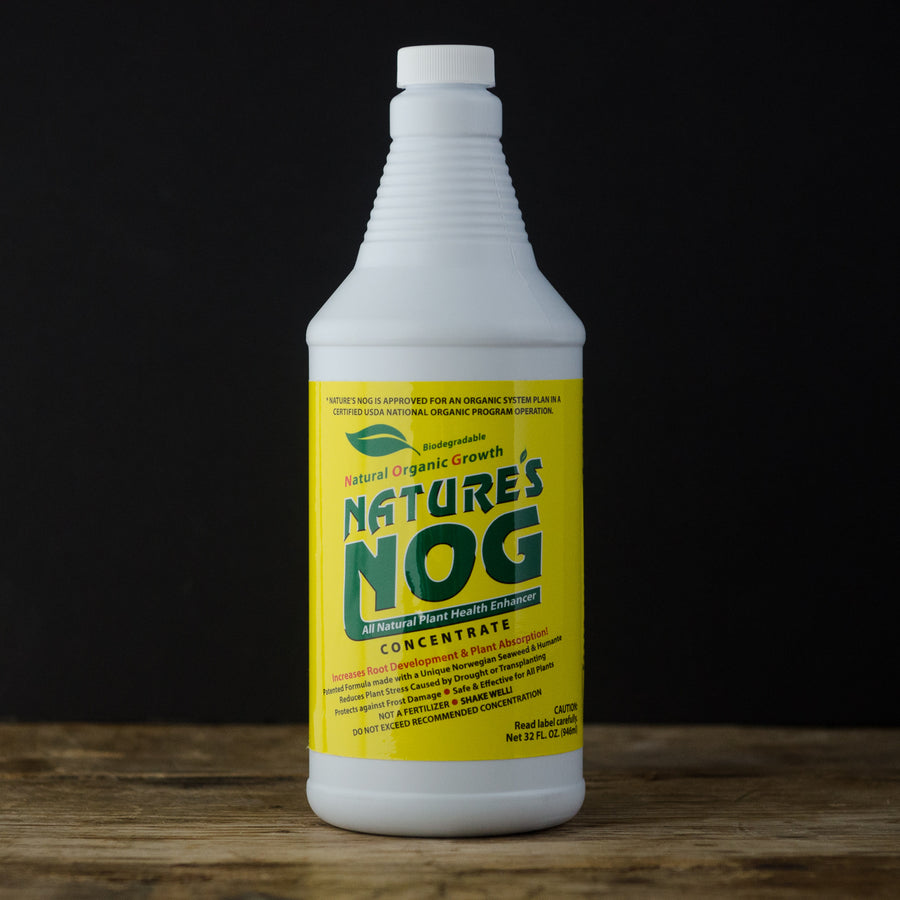 Nature's Nog Liquid 1 Quart